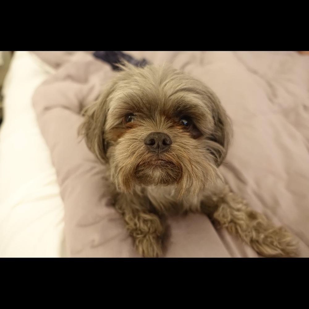 Meet your Posher, Gina